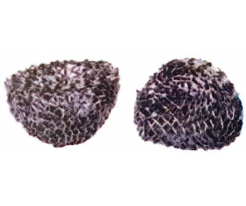 Σίτες Pipe Screens Fat 18mm - 2τμχ - Τιμή: 2,40€