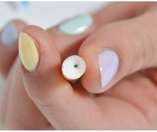 Hoffmann Αρωματικές Κάψουλες 100τεμ. - Summer Fresh - Τιμή: 3,80€