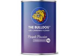 Ανθός Κάνναβης The Bulldog Amsterdam «Purple Passion» 6gr - 25% CBD