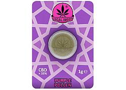 Legal Weed Pollen 1gr Purple Haze - 35% CBD