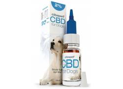 Cibdol CBD Oil for Dogs 2% (10ml) - Ελαιο Κάνναβης για Σκύλους