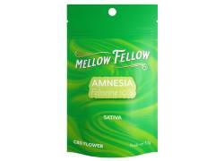 Mellow Fellow Ανθός Κάνναβης 3,5gr - CBD Amnesia 
