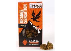 Πυθία Ανθός Κάνναβης Orange Sensation 1gr - 15% CBD