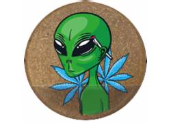 Grinder Τρίφτης Πλαστικός Hemp Alien 60mm - 2 Parts