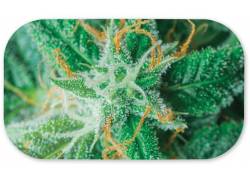 V-Syndicate Magnetic Cover - Μαγνητικό Κάλυμμα για Δίσκους V-Syndicate Small (27x16cm) - AK 47