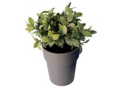 Kavatza Safety Box - «Buddies» Plant Pot 27cm