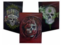 3D Εικόνα Διακοσμητική Illusion για Tοίχο Skull - 3 μοτίβα (40x30cm)