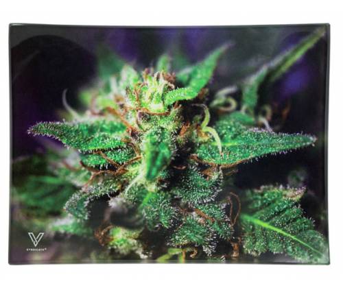 V-Syndicate Γυάλινος Rolling Tray Δίσκος - Blue Dank  - Mini (16x12cm) - Τιμή: 10,50€