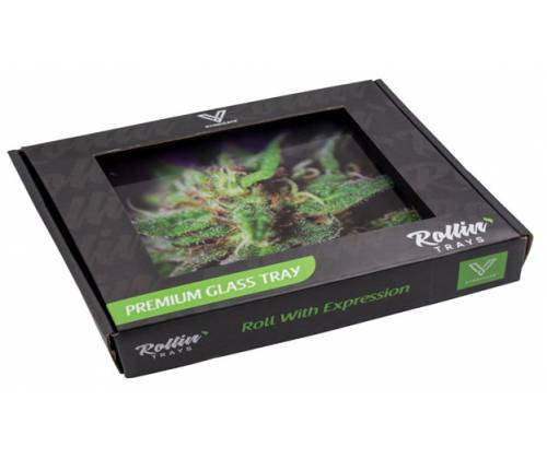 V-Syndicate Γυάλινος Rolling Tray Δίσκος - Blue Dank  - Mini (16x12cm) - Τιμή: 10,50€