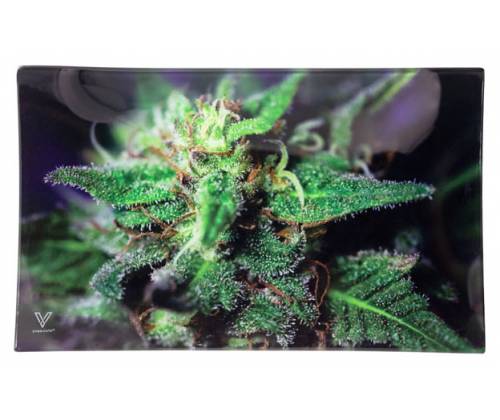 V-Syndicate Γυάλινος Rolling Tray Δίσκος - Dollars - Mini (16x12cm) - Τιμή: 10,50€