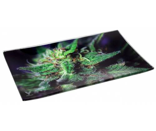 V-Syndicate Γυάλινος Rolling Tray Δίσκος - Dollars - Mini (16x12cm) - Τιμή: 10,50€