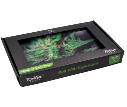 V-Syndicate Γυάλινος Rolling Tray Δίσκος - Dollars - Mini (16x12cm) - Τιμή: 10,50€