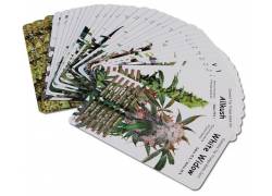 Παιχνίδι Καρτών Cannabis - Limited Edition