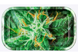 V-Syndicate Rolling Tray Δίσκος Strain - Small (27x16cm)