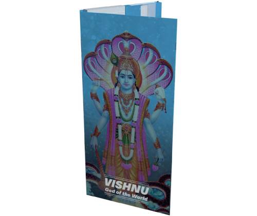 Snail Collectibles Rolling Papers 