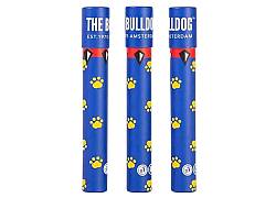 Κύλινδρος Αποθήκευσης The Bulldog Pop Up Χάρτινος - 11cm